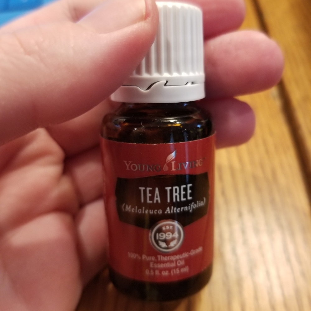 Tea Tree 15ml - Young Living - New!